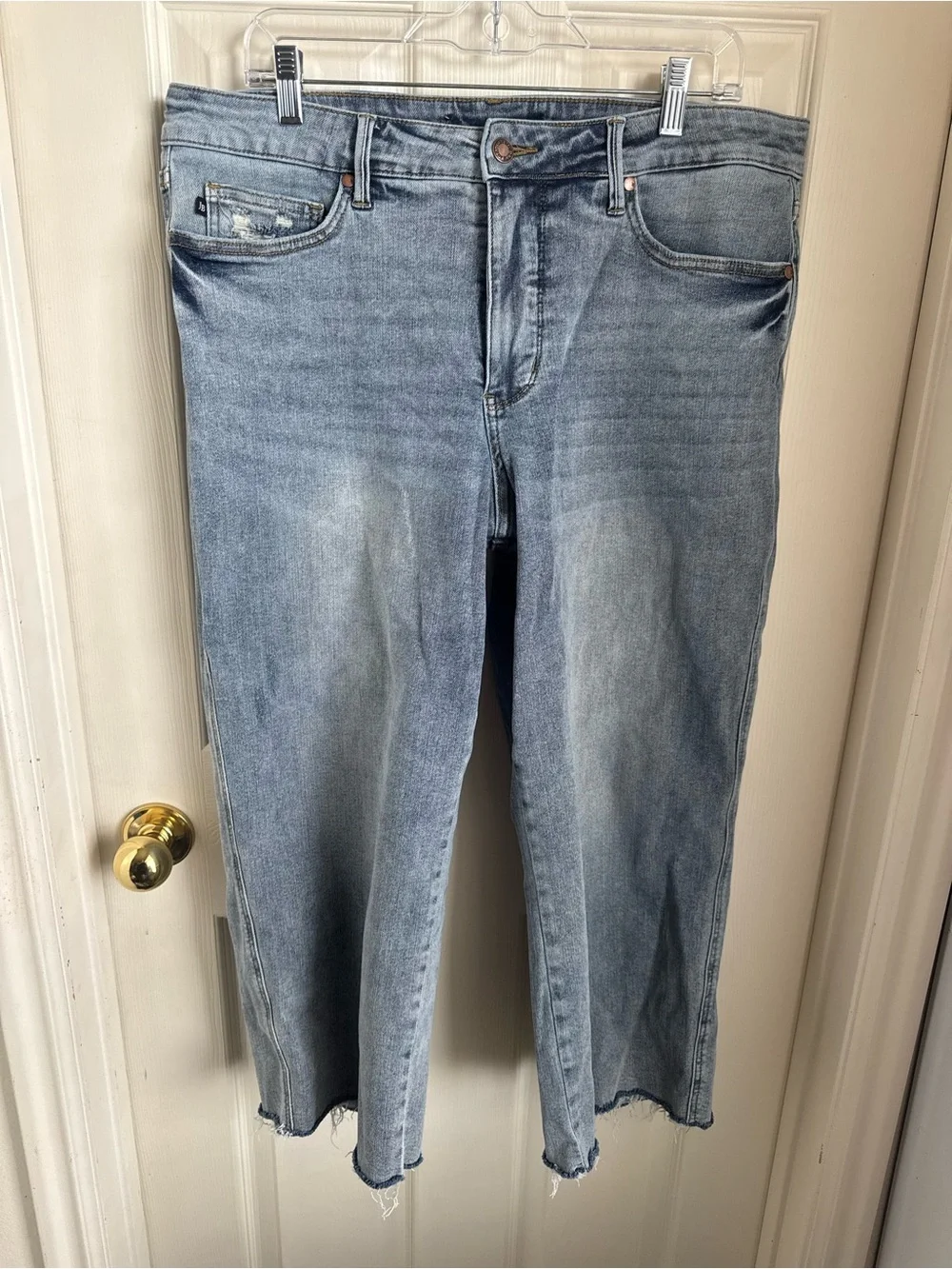 Judy Blue Wide Leg Crop Jeans